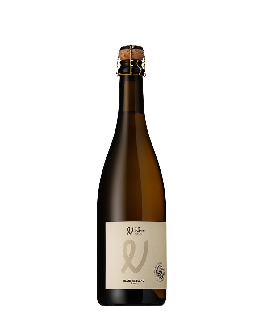 Bild von 2023er Blanc de Blanc Sekt brut 
