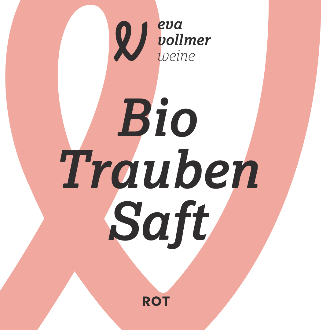 Bild von 2024er Bio-Traubensaft aus der Zukunftsrebe Regent rot 1l