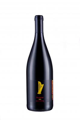Bild von 2024er Rheinhessen Portugieser Qualitätswein halbtrocken 1l
