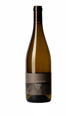 Bild von 2022er SILVANER GG Spätlese Barrique trocken *B 0,75l 