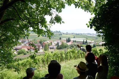 "Die Kleine" - Weinwanderung 50jähriges Jubiläum