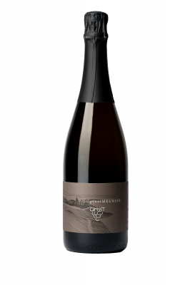 Bild von 2021er Pinot Meunier Sekt extra brut*B 0,75 l