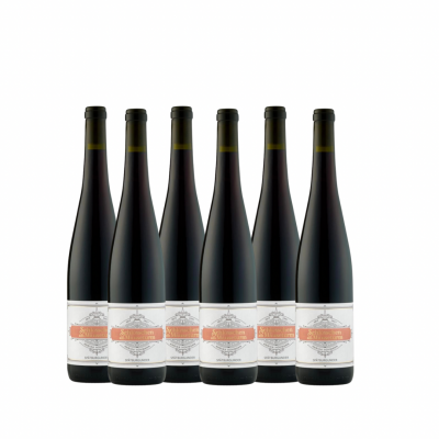 Bild von Rotwein Liebhaber 