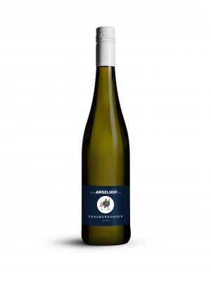 Bild von 2025er Pfalz Grauburgunder Qualitätswein trocken 0.75l