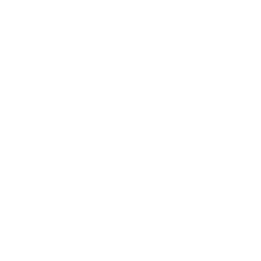 LKW